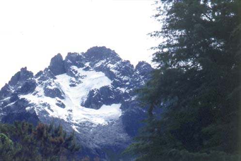 PICO BOLIVAR