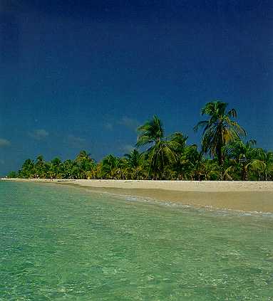 MAS DE MORROCOY