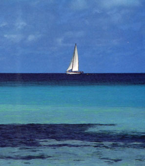 MAS DE LOS ROQUES